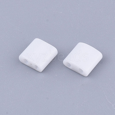 FGB 2-Hole Glass Seed Beads X-SEED-S031-L-041-1