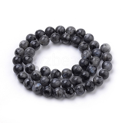 Natural Larvikite Beads Strands X-G-S259-06-12mm-1