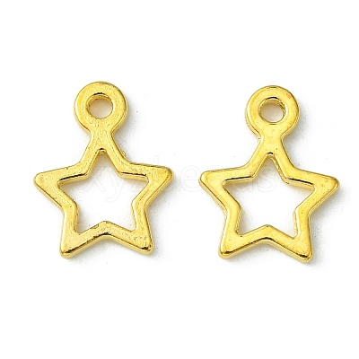Tibetan Style Alloy Charms X-K0NYK011-1