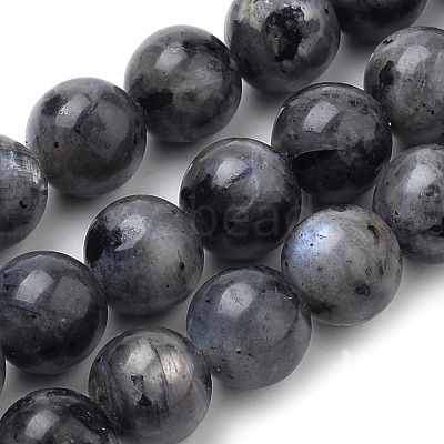 Natural Larvikite Beads Strands X-G-S259-06-10mm-1