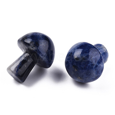 Natural Sodalite GuaSha Stone G-N0325-02V-1