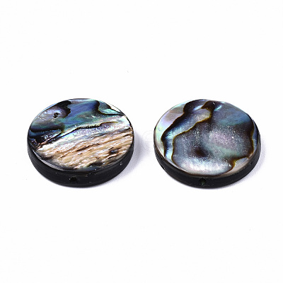 Natural Abalone Shell/Paua Shell Beads SSHEL-T014-14D-1