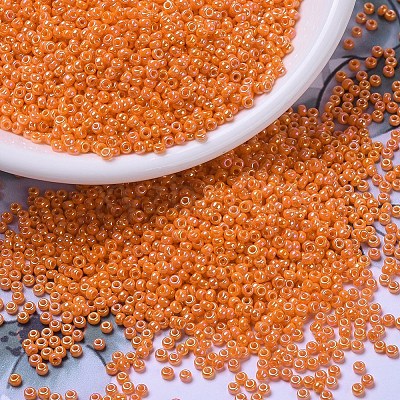 MIYUKI Round Rocailles Beads X-SEED-G007-RR0473-1