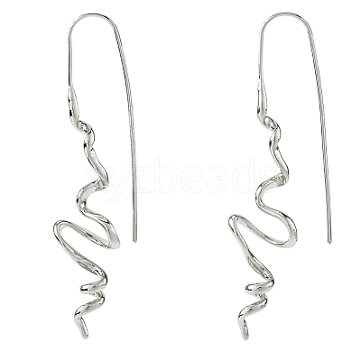 1 Pair Brass Dangle Earrings EJEW-HS0001-29P-1