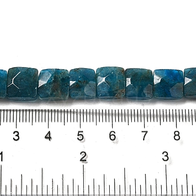 Natural Apatite Beads Strands G-C109-A13-02-1