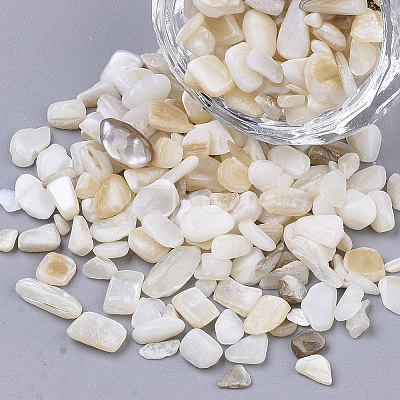 Freshwater Shell Beads LS-SHEL-S266-11-1