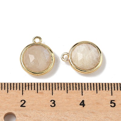 Natural Moonstone Faceted Flat Round Charms G-U028-03G-13-1
