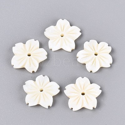 Natural Freshwater Shell Carved Beads SHEL-Q028-10-1