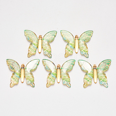 Transparent Acrylic Pendants LS-X-TACR-R140-06H-1