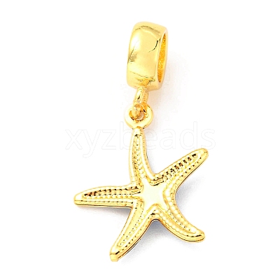 Brass Enamel European Dangle Charms KK-M247-11G-02-1