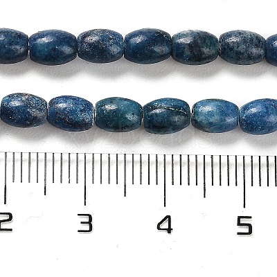 Natural Dolomite Beads Strands G-F765-A03-01-1