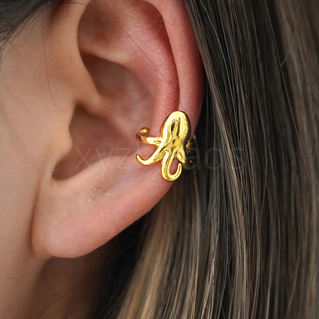304 Stainless Steel Clip-on Earrings WG1F46C-01-1