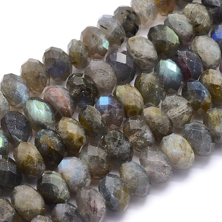 Natural Labradorite Beads Strands G-O170-59E-1