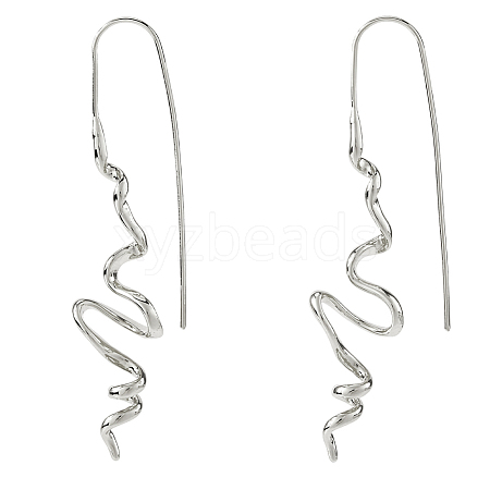 1 Pair Brass Dangle Earrings EJEW-HS0001-29P-1