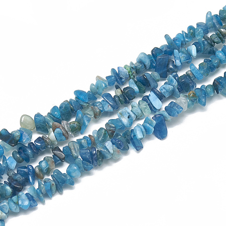 Natural Apatite Beads Strands G-S315-24-1