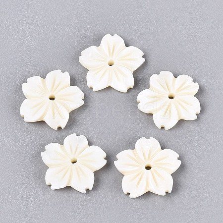 Natural Freshwater Shell Carved Beads SHEL-Q028-10-1