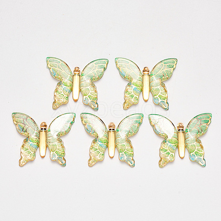 Transparent Acrylic Pendants LS-X-TACR-R140-06H-1