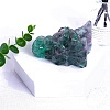 Natural Fluorite Carved Dragon Head Figurines PW-WGCF919-07-1