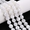 Natural Moonstone Beads Strands G-S345-10mm-36-2