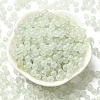 Luminous Glow in the Dark Transparent Glass Round Beads GLAA-F124-B02-4