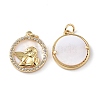 Brass Micro Pave Cubic Zirconia Pendants KK-E068-VF278-3