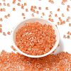 Glass Seed Beads X1-SEED-H002-F-1108-2