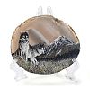 Printed Natural Agate Slice Stone Ornament DJEW-M011-03D-1