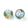 Spray Painted Glass European Beads GPDL-R004-20S-2