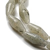 Natural Labradorite Beads Strands G-A223-A04-01-4