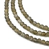 Natural Labradorite Beads Strands G-M438-A01-02-3