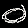 Natural Howlite Beads Strands G-F762-A12-01-3