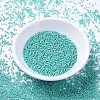 MIYUKI Delica Beads SEED-MY11-DB0166-3