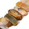 Natural Botswana Agate Beads Strands G-S386-D02-2