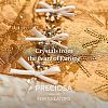 Preciosa® MAXIMA Crystal No Hotfix Flatback Stones Y-PRC-NSS6-00030-251-3