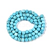 Natural Turquoise Beads Strands G-N342-108-2