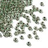 Transparent Stripe Glass Seed Beads LS-GLAA-NH0001-06C-1