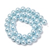 Electroplated Shell Pearl Beads Strands BSHE-G041-10mm-03-2