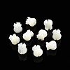 Natural Trochid Shell/Trochus Shell Beads SSHEL-N003-145A-B01-2