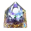 Natural Amethyst Display Decorations PW-WG4085E-01-5