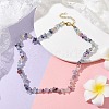 Natural Fluorite Chip Beaded Necklace NJEW-JN04616-11-2