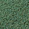 MIYUKI Round Rocailles Beads SEED-JP0010-RR0374-2
