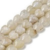 Natural Rainbow Moonstone Beads Strands G-P544-E06-01-1