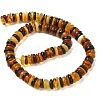 Natural Amber Beads Strands G-K387-C01-02-4