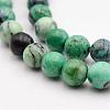 Natural Variscite Bead Strands G-P300-09-6mm-3