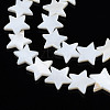 Natural Freshwater Shell Beads Strands LS-SHEL-S278-01D-01-3