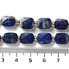 Natural Lapis Lazuli Beads Strands G-H061-A07-01-5