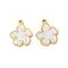 304 Stainless Steel Pendants STAS-C155-04G-1