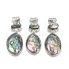 Natural Abalone Shell/Paua Shell Big Pendants SSHEL-F303-05-01-1