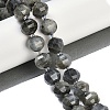 Natural Labradorite Beads Strands G-G182-B02-07-2