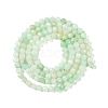 Natural Chrysoprase Beads Strands G-P542-A04-02-3